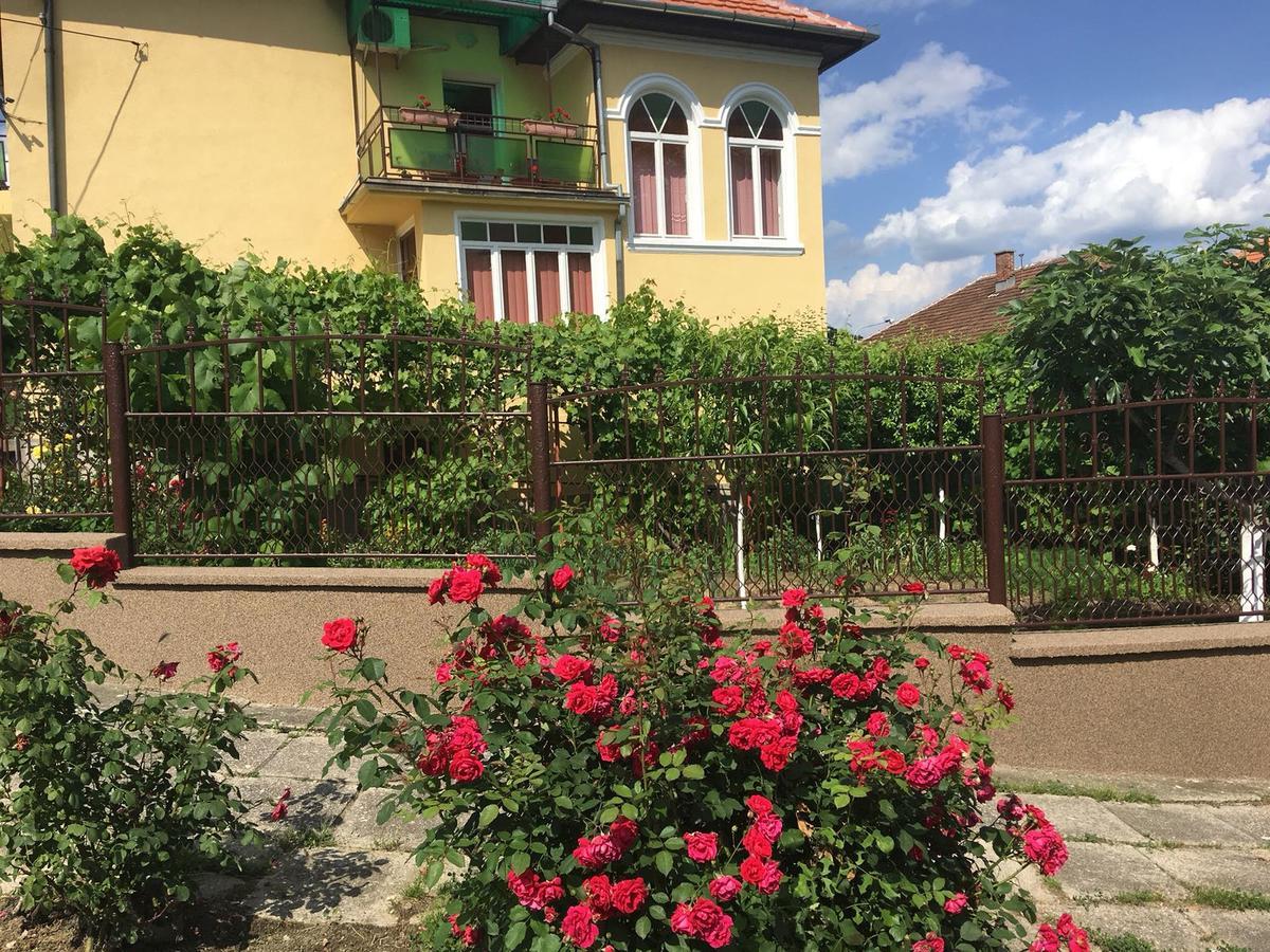 Vila Arjana Orsova Bagian luar foto