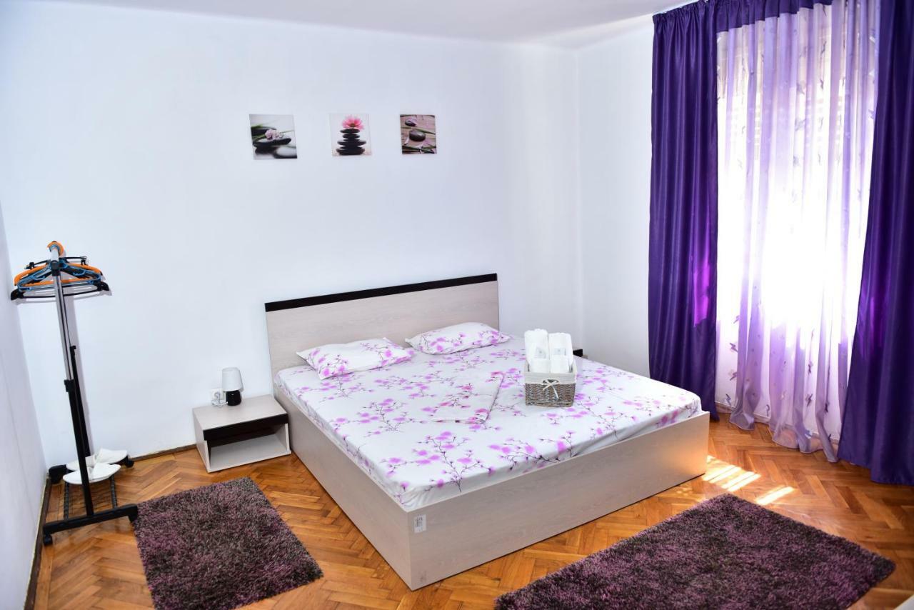 Vila Arjana Orsova Bagian luar foto
