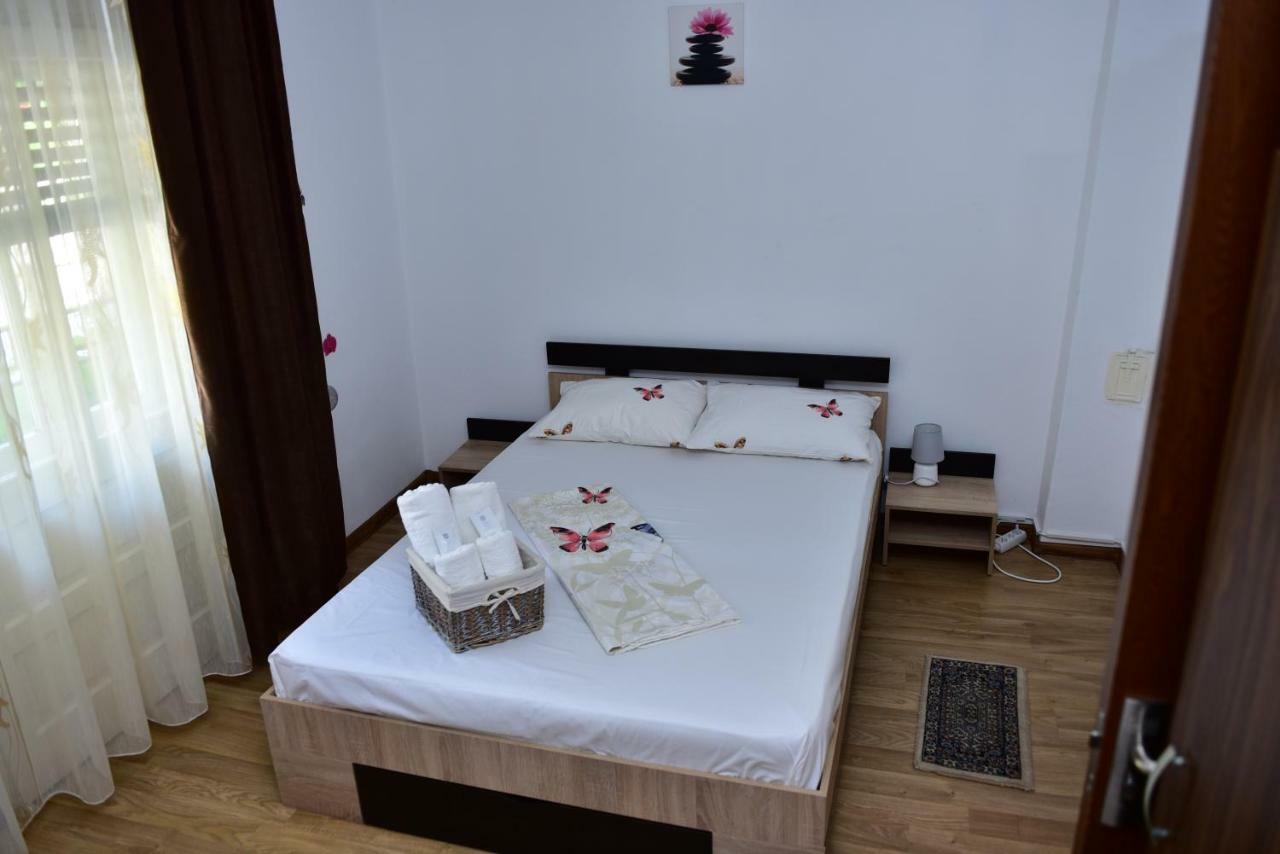 Vila Arjana Orsova Bagian luar foto