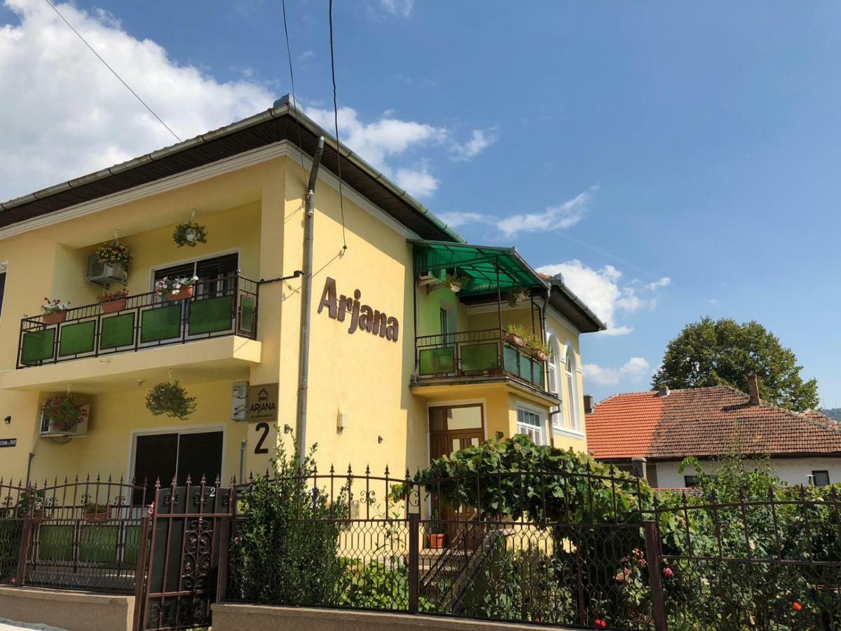 Vila Arjana Orsova Bagian luar foto